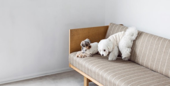 item-banner